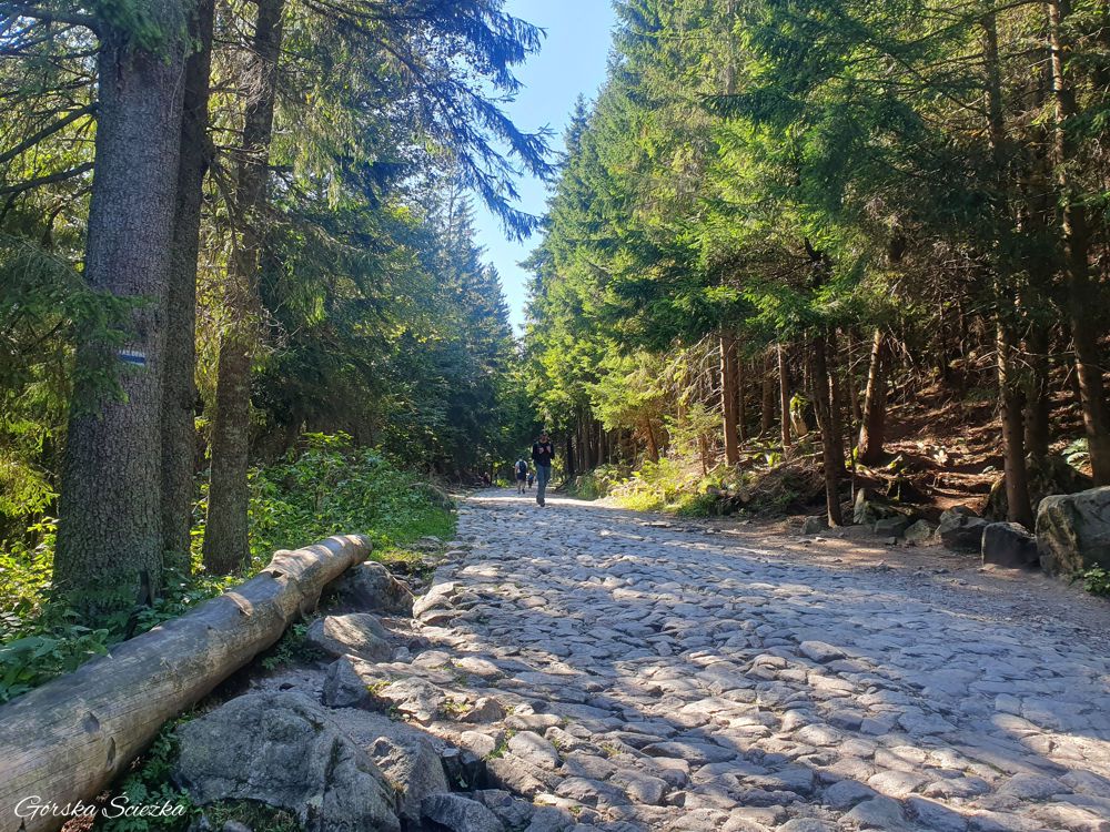 Hala Kondratowa: Pierwszy fragment szlaku niebieskiego