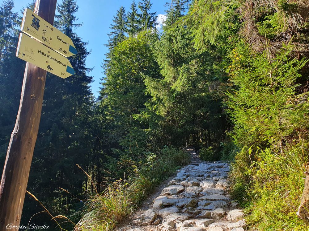 Hala Kondratowa: Kierunkowskaz wskazujący trasę na Halę Kondratową