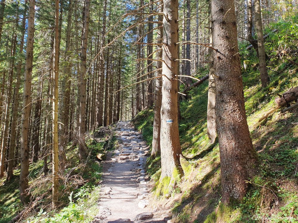 Hala Kondratowa: Trasa na Halę Kondratową