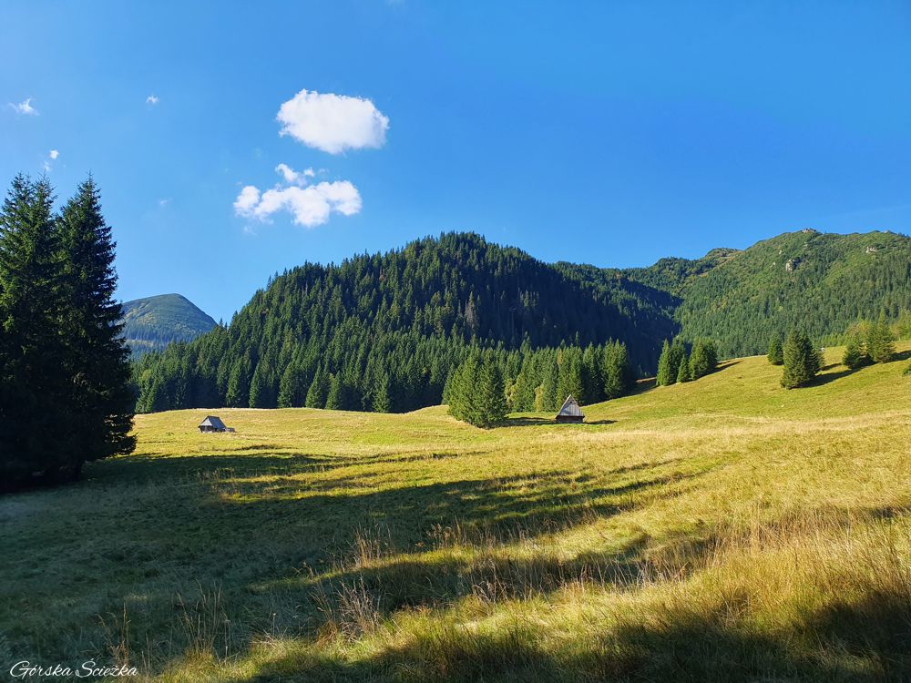 Hala Kondratowa: Widok na Polanę Kalatówki z dołu