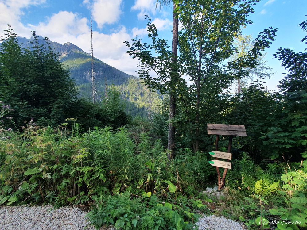 Szlak kierujący do Bilikovej Chaty