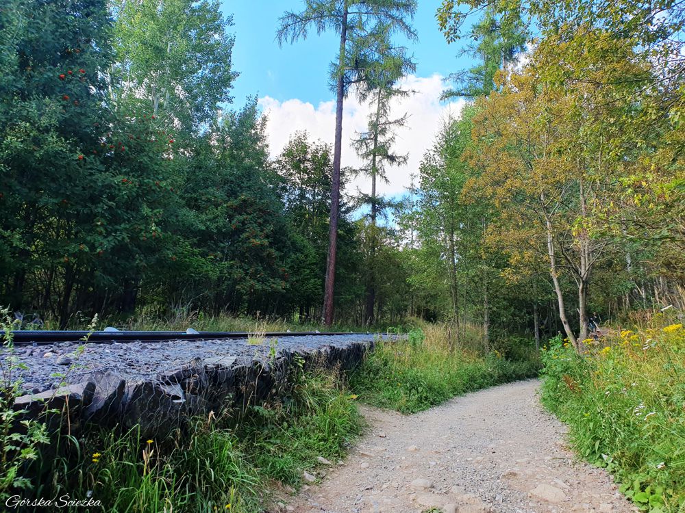 Hrebienok: Szlak zielony obok torowiska