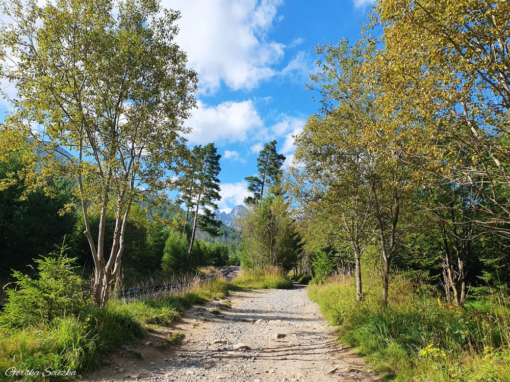 Hrebienok: Trasa oznaczona szlakiem zielonym