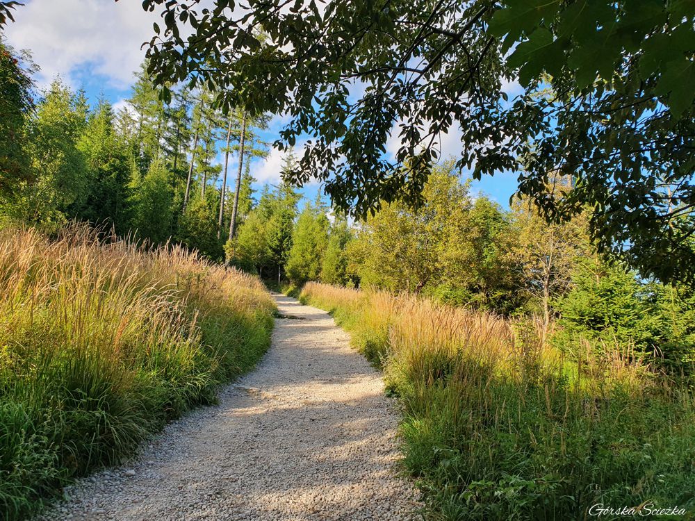 Hrebienok: Trasa oznaczona szlakiem zielonym