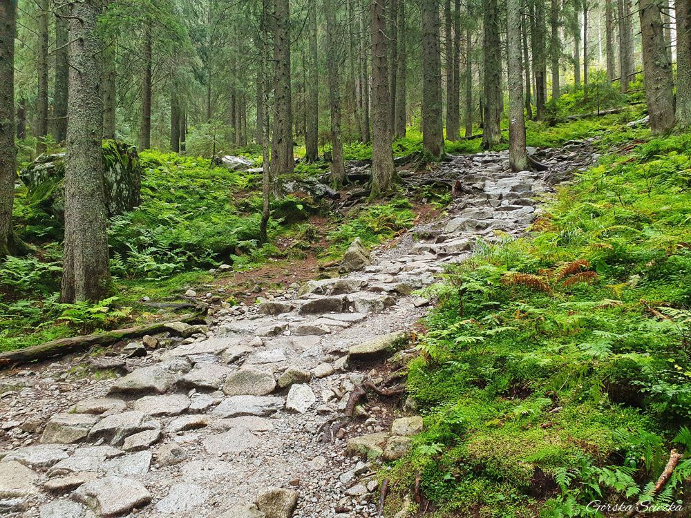 Szlak zielony do Doliny 5 Stawów