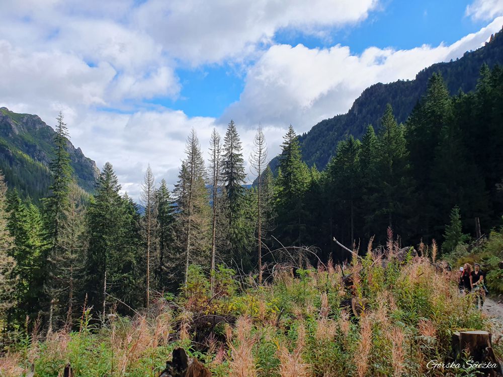 Górne piętro Doliny Roztoki