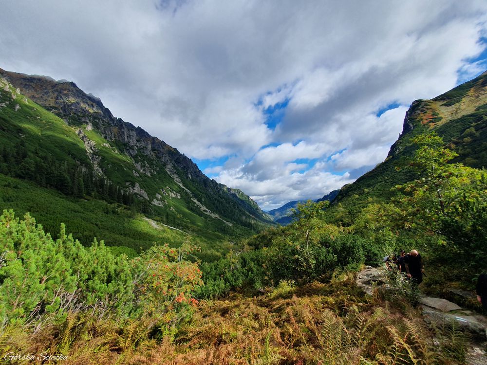 Górne piętro Doliny Roztoki