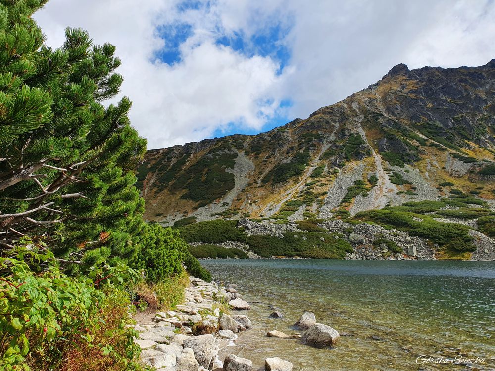 Świstówka Roztocka - z Doliny Pięciu Stawów do Morskiego Oka: Początek szlaku niebieskiego obok schroniska