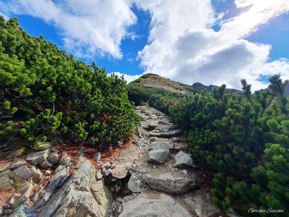 Świstówka Roztocka - z Doliny Pięciu Stawów do Morskiego Oka: Szlak niebieski w stronę Świstowej Kopy