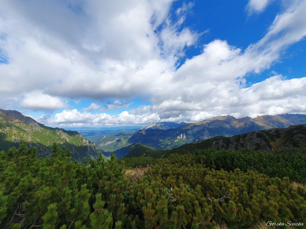 Świstówka Roztocka - z Doliny Pięciu Stawów do Morskiego Oka: Panorama z okolic Świstowej Kopy