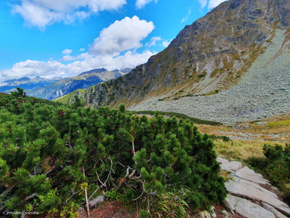 Świstówka Roztocka - z Doliny Pięciu Stawów do Morskiego Oka: Początek szlaku do Morskiego Oka