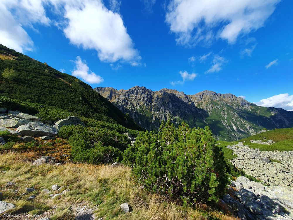 Świstówka Roztocka - z Doliny Pięciu Stawów do Morskiego Oka: Odcinek rumowisk skalnych na szlaku niebieskim