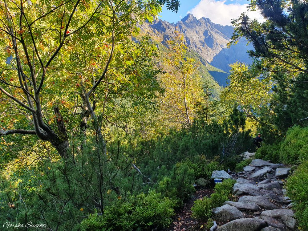 Świstówka Roztocka - z Doliny Pięciu Stawów do Morskiego Oka: Fragment dolnej części szlaku