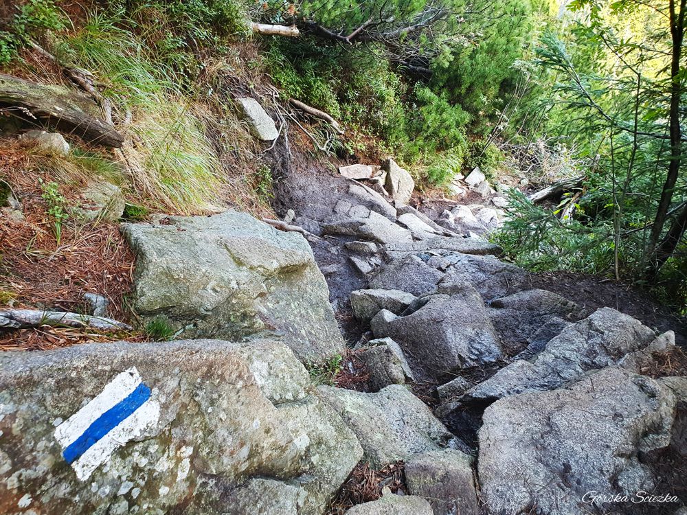 Świstówka Roztocka - z Doliny Pięciu Stawów do Morskiego Oka: Przebieg szlaku niebieskiego