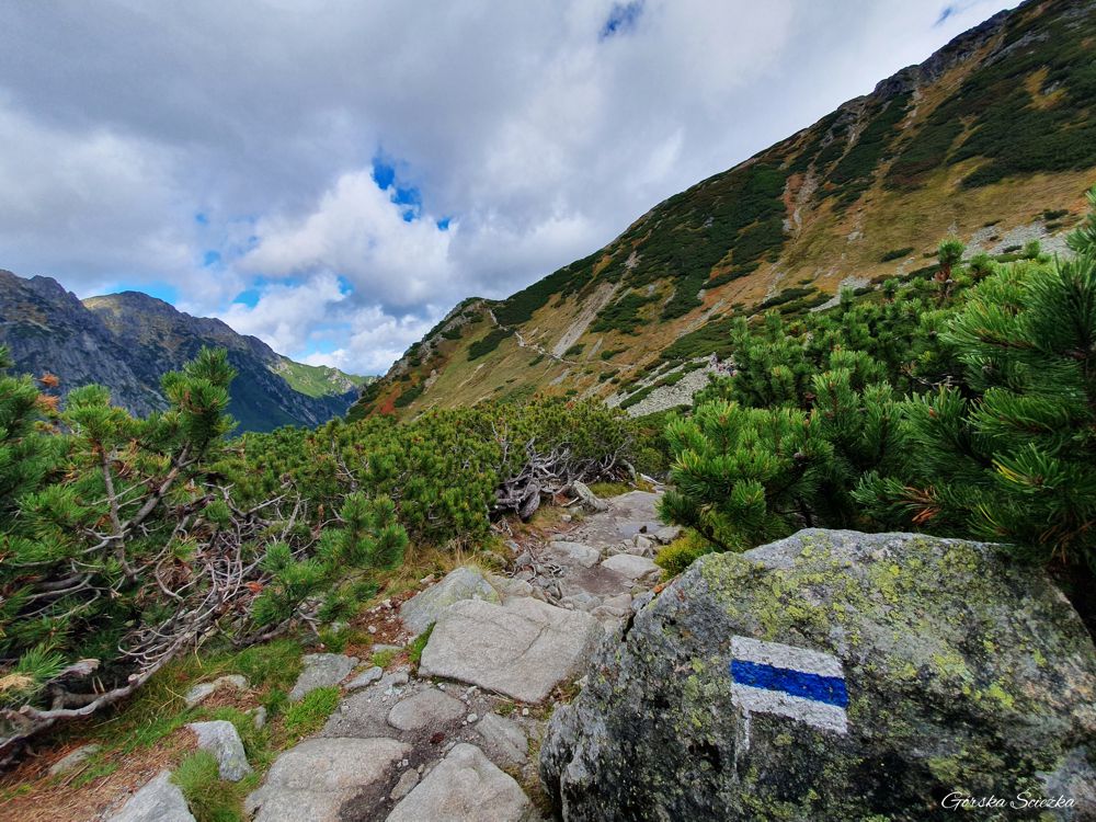 Świstówka Roztocka - z Doliny Pięciu Stawów do Morskiego Oka: Szlak niebieski przez Świstówkę Roztocką