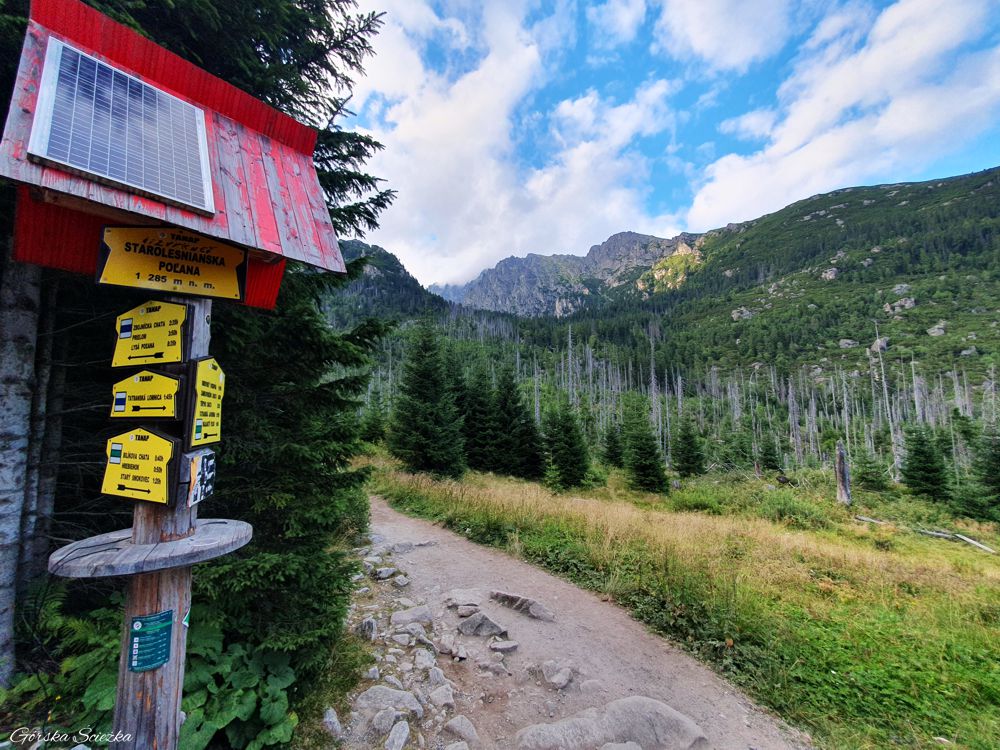 Wodospady Zimnej Wody: Staroleśna Polana
