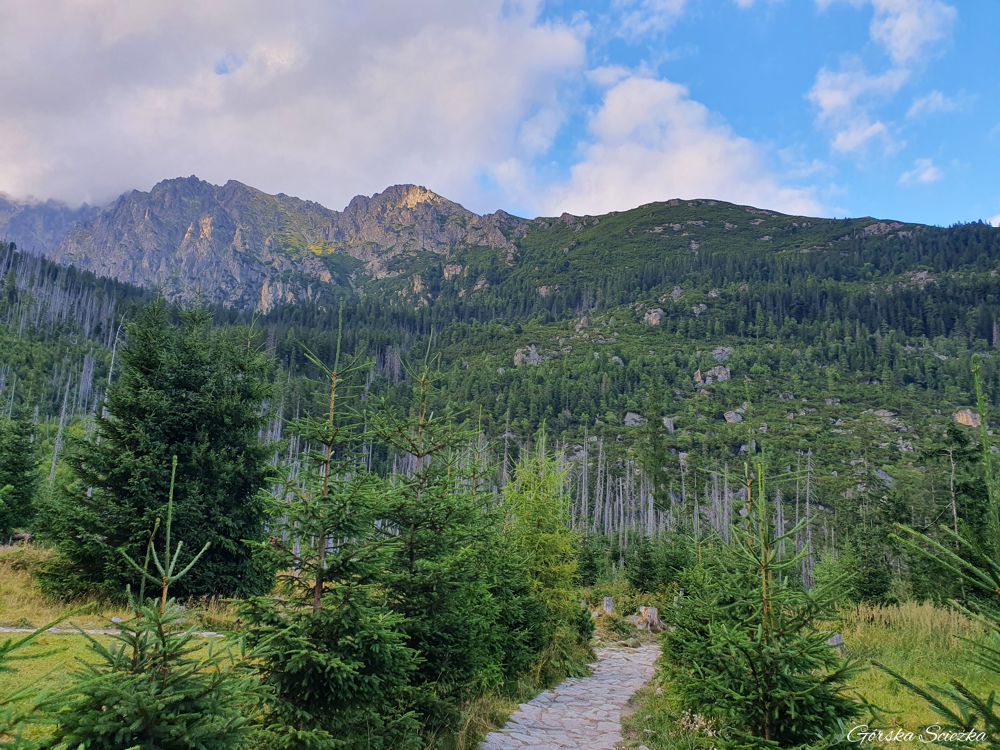 Wodospady Zimnej Wody: Staroleśna Polana