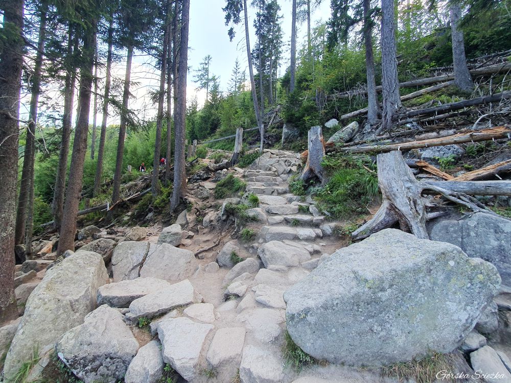 Wodospady Zimnej Wody: Zejście do Długiego Wodospadu