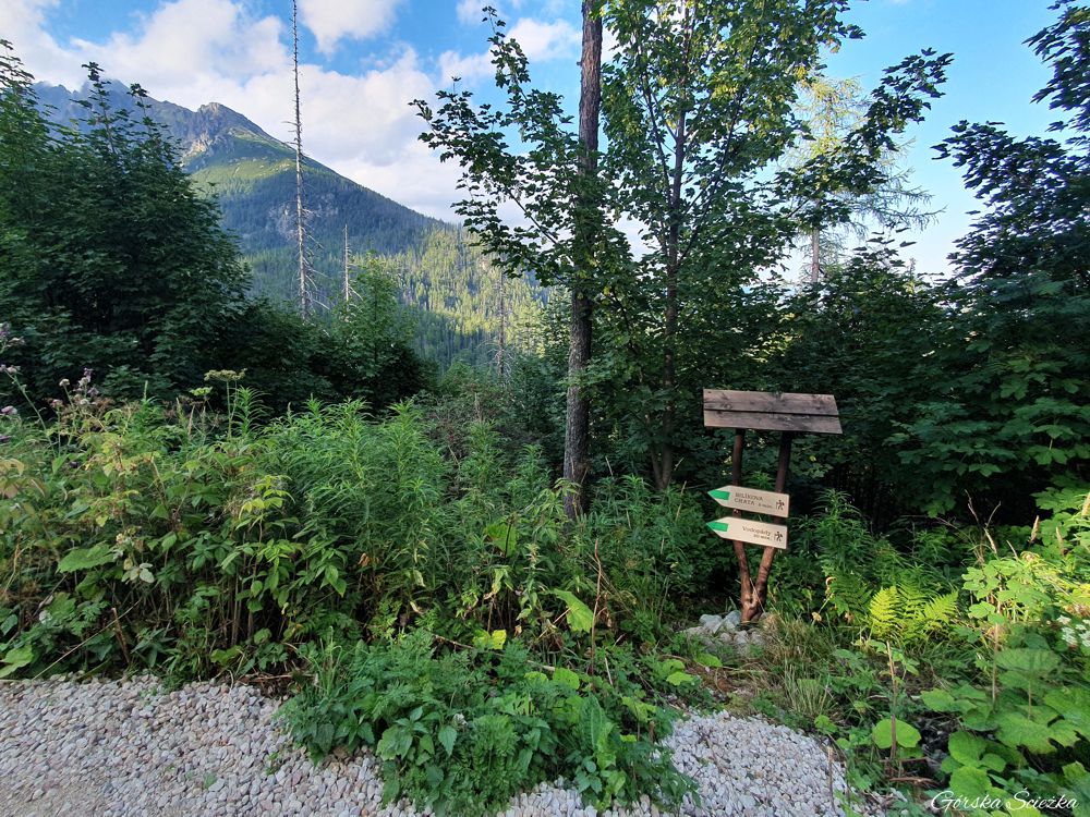 Wodospady Zimnej Wody: Początek szlaku zielonego do Wodospadów Zimnej Wody