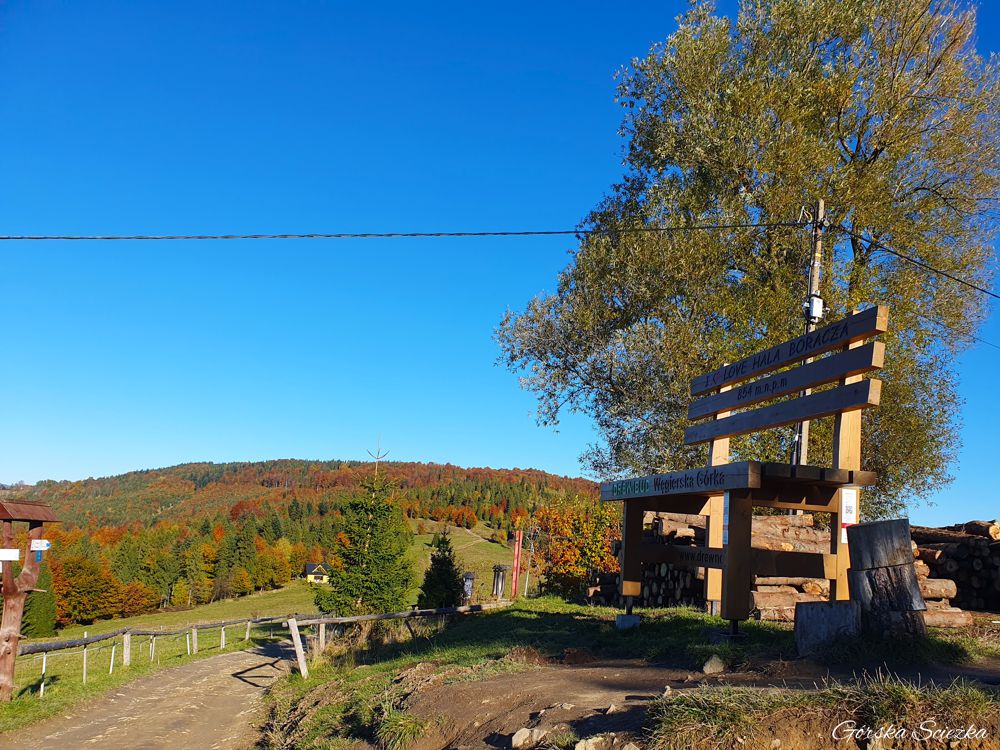 Hala Boracza: Gigantyczna Ławka obok schroniska
