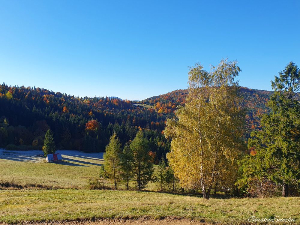 Hala Boracza: Widok na Halę Boraczą