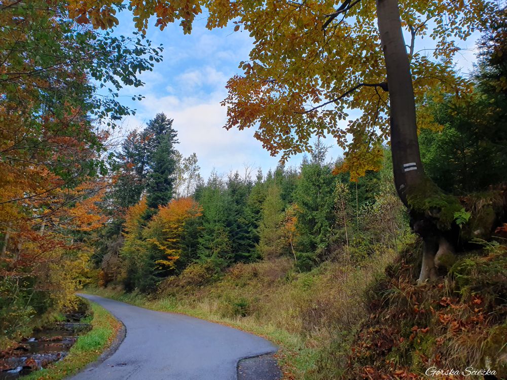 Hala Boracza: Szlak czarny-ostatni fragment drogi