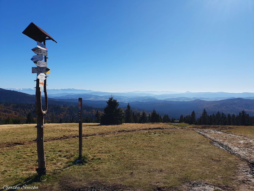 Hala Rysianka: Na Hali Rysianka