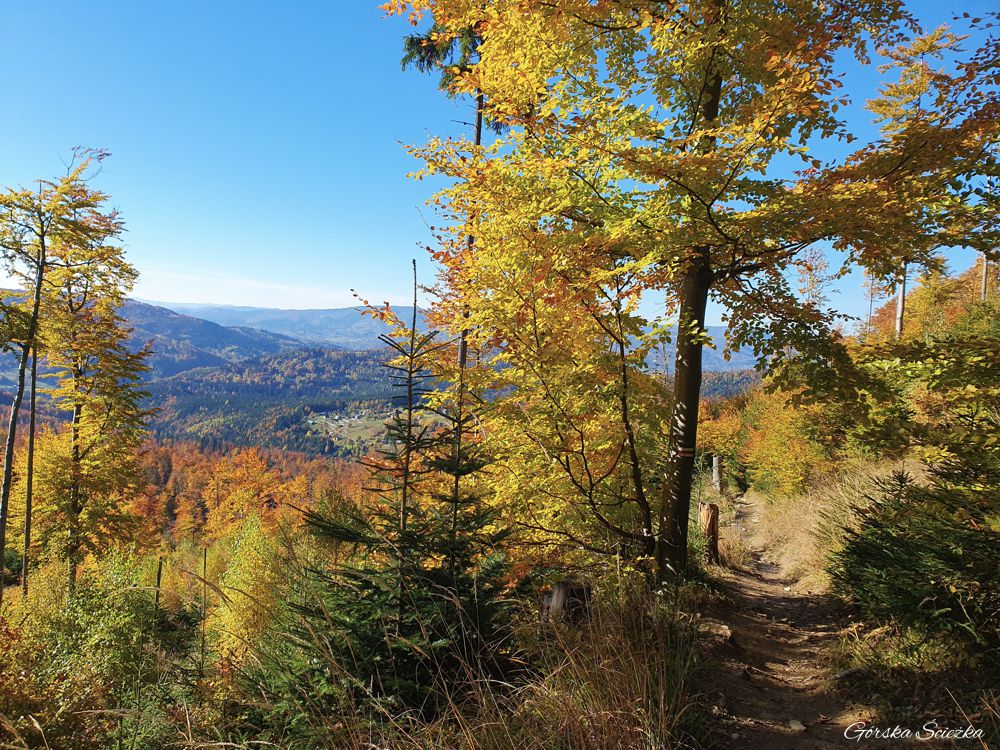 Hala Rysianka: Szlak czerwony od Hali Wieprzskiej