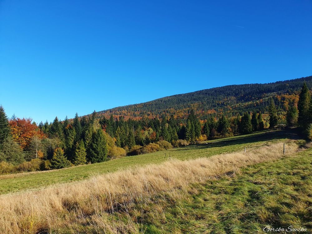 Hala Rysianka: szlak czerwony w okolicach zabudowań mieszkalnych