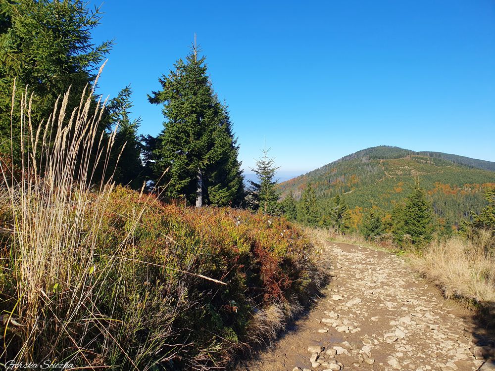 Hala Rysianka: Szlak czerwony w stronę Romanki