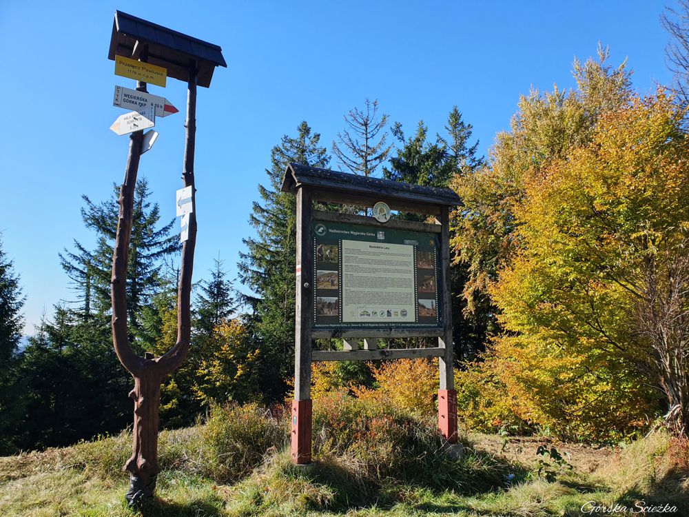 Hala Rysianka: Przełęcz Pawlusia