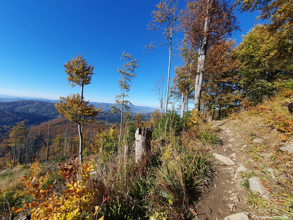 Hala Rysianka: Panorama ze szlaku czerwonego