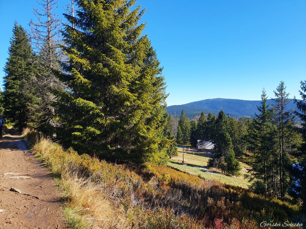 Hala Lipowska: Ostatni fragment trasy przed Halą Lipowską