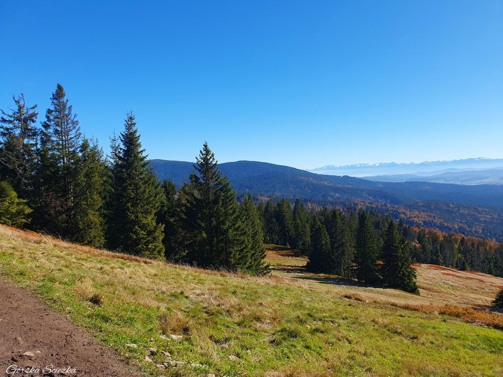 Hala Lipowska: Ostatni fragment trasy przed Halą Lipowską