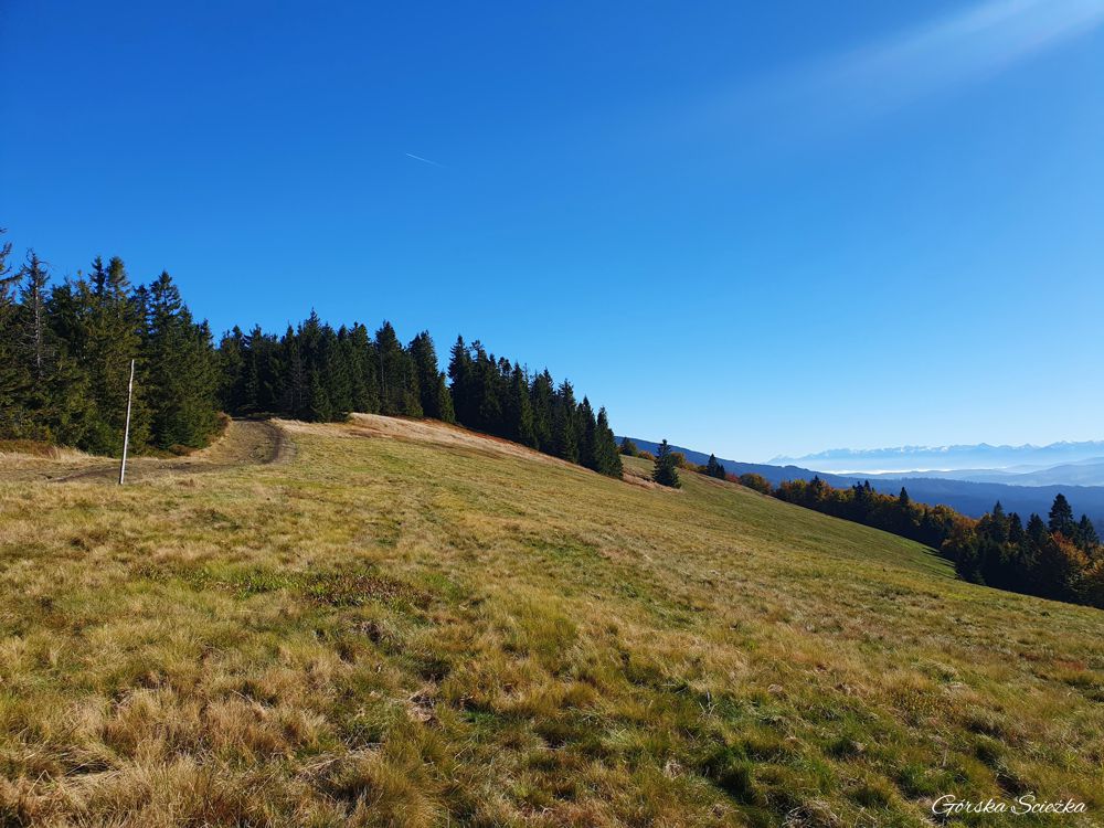 Widok ze szlaku przez Halę Bieguńską