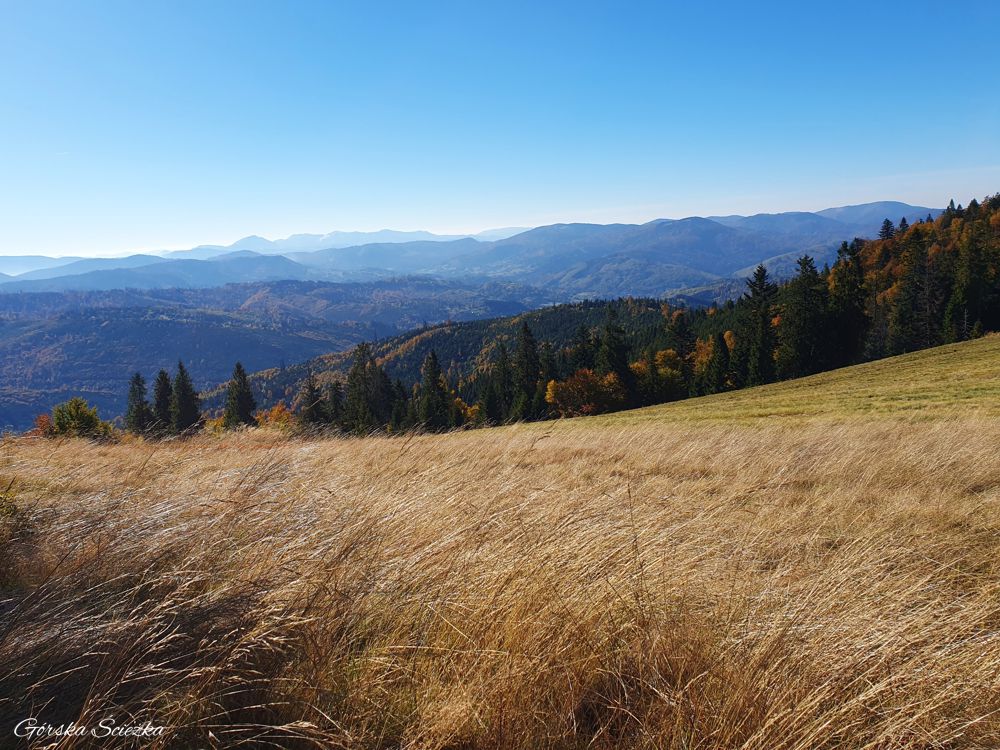 Panorama z Hali Bieguńskiej