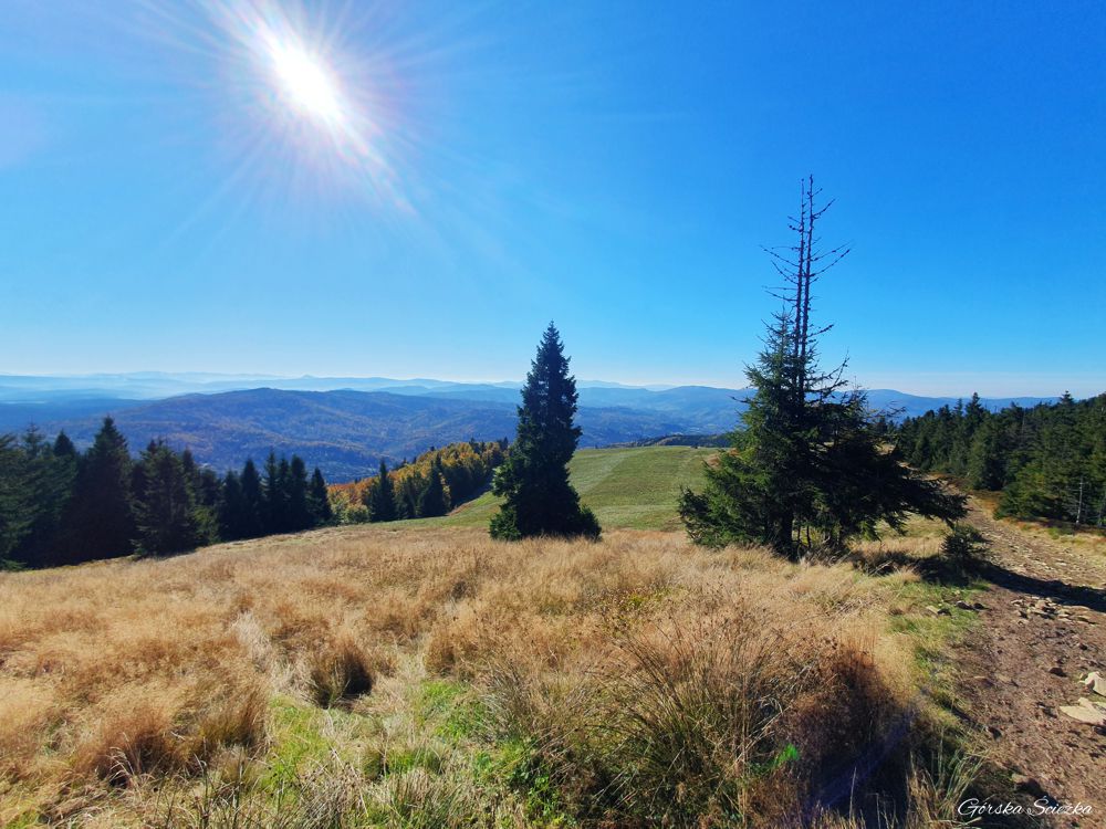 Panorama z Hali Bieguńskiej