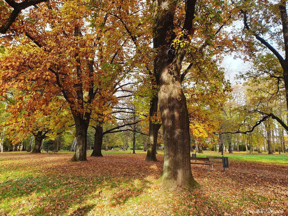 Park Zamkowy w Żywcu