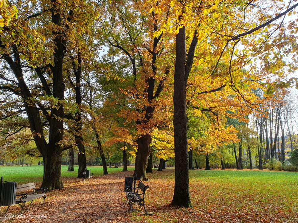 Park Zamkowy w Żywcu