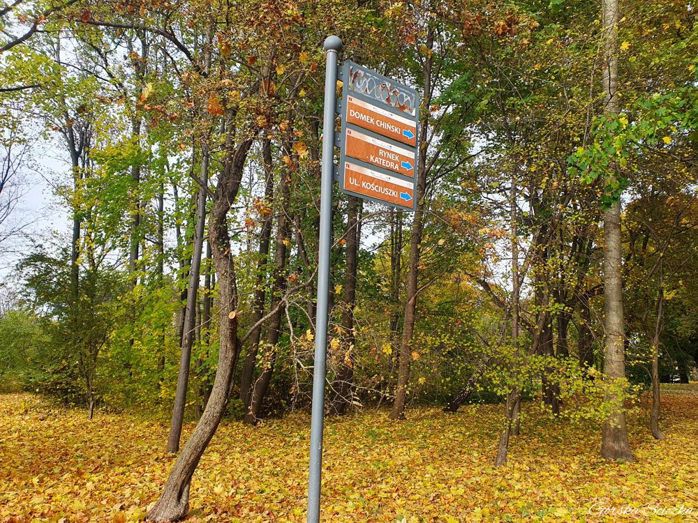 Jeden z kierunkowskazów