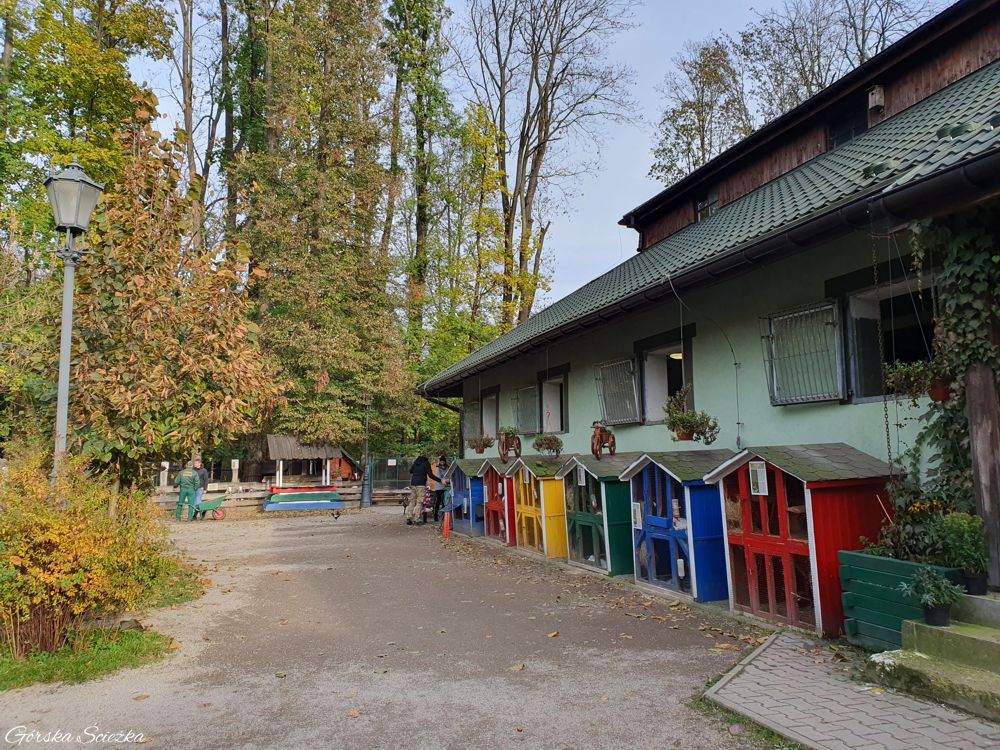 Park Zamkowy w Żywcu: Teren Mini Zoo, po prawej króliki