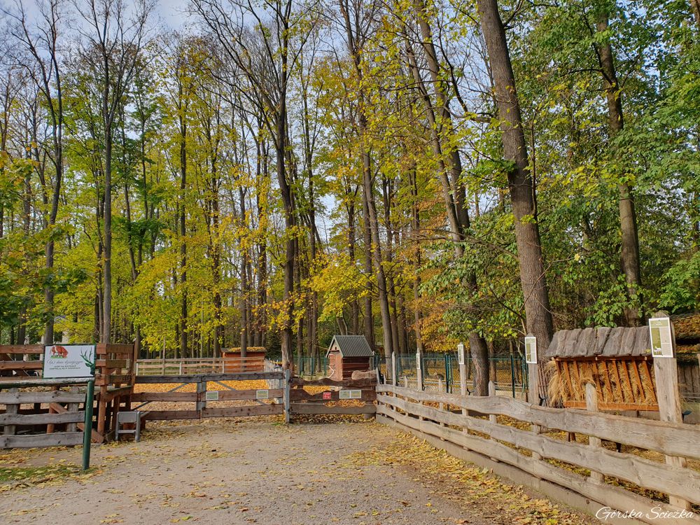 Park Zamkowy w Żywcu: Przy zagrodach ze zwierzętami