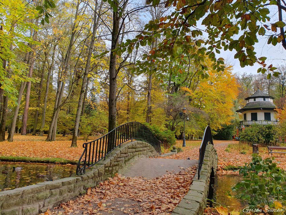 Park Zamkowy w Żywcu: Mostek przed Domkiem Chińskim