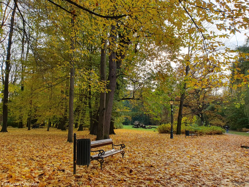 Park zamkowy w Żywcu: Okolice Domku Chińskiego