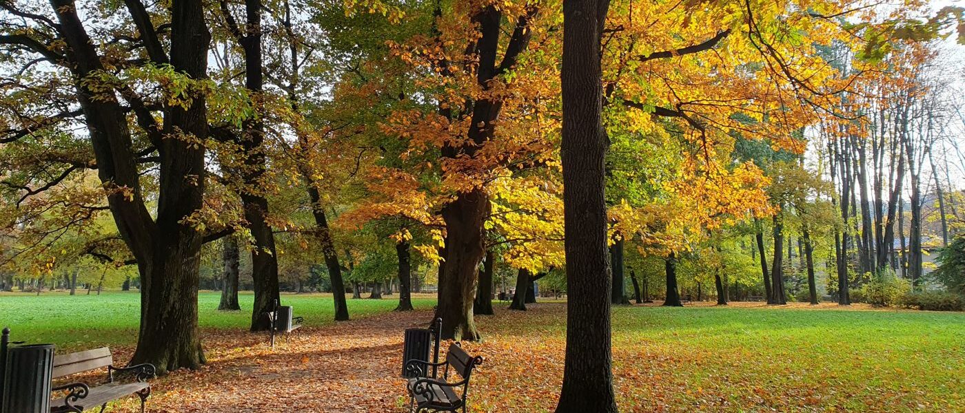 Park Zamkowy w Żywcu
