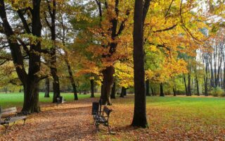 Park Zamkowy w Żywcu