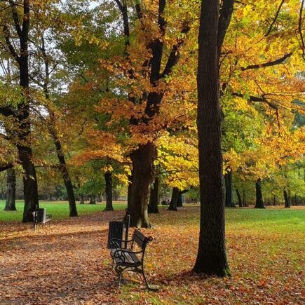 Park Zamkowy w Żywcu
