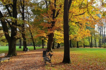 Park Zamkowy w Żywcu
