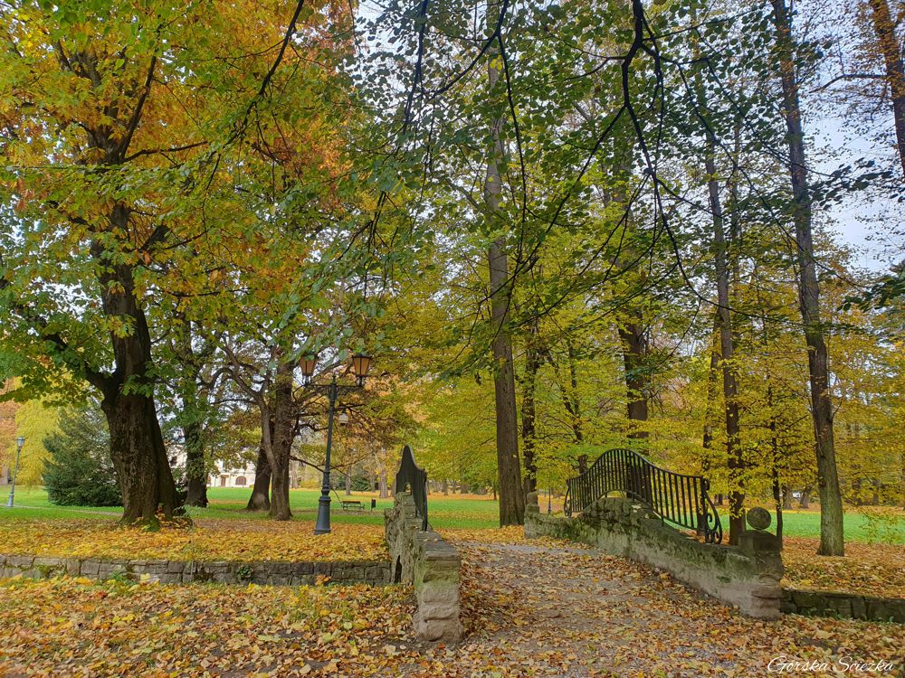 Park Zamkowy w Żywcu: Aleja spacerowa w stronę Pałacu Habsburgów