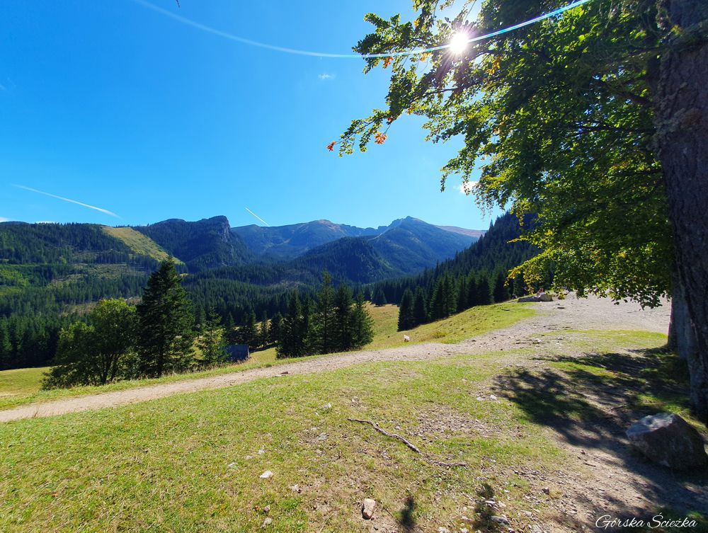 Polana Kalatówki: Widok na Kasprowy Wierch